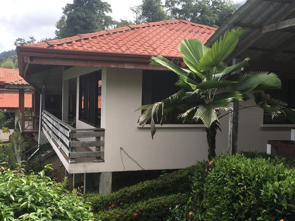 فندق Ballenaفي  Many'S House المظهر الخارجي الصورة